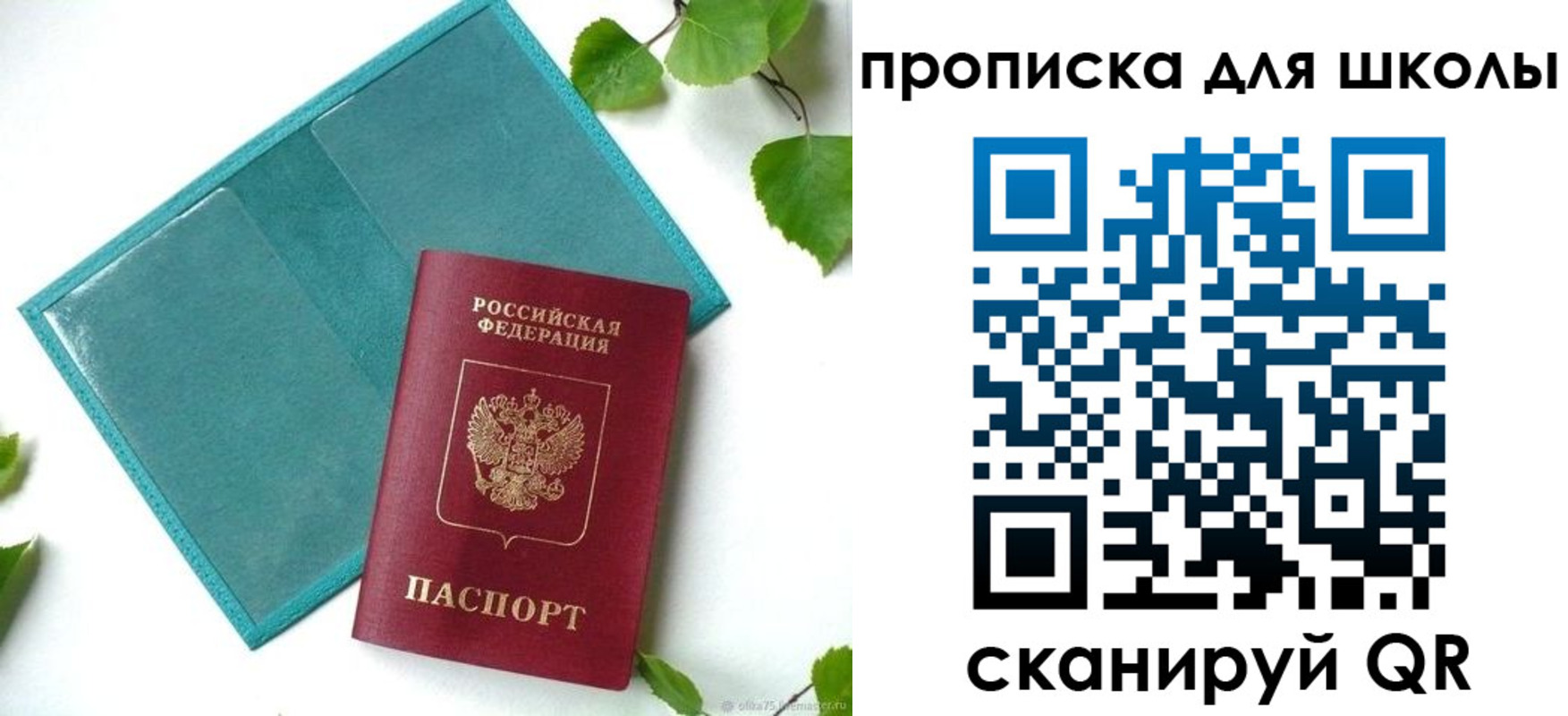 прописка в Зее